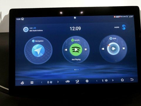 Byd Dolphin Comfort Black #15