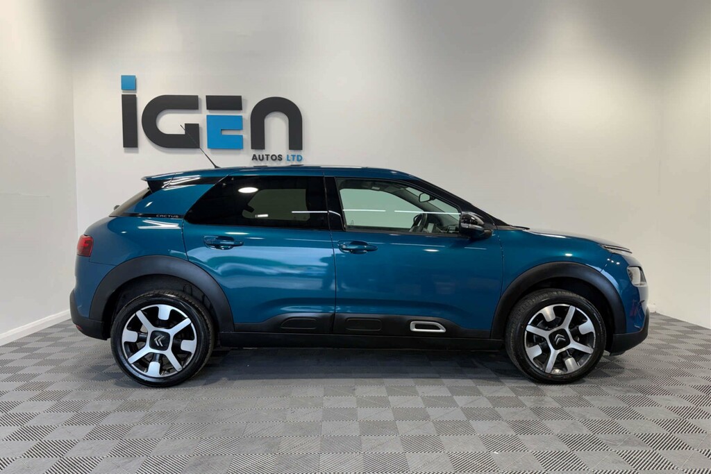 Citroen C4 Cactus Flair Blue Hdi Ss  #4