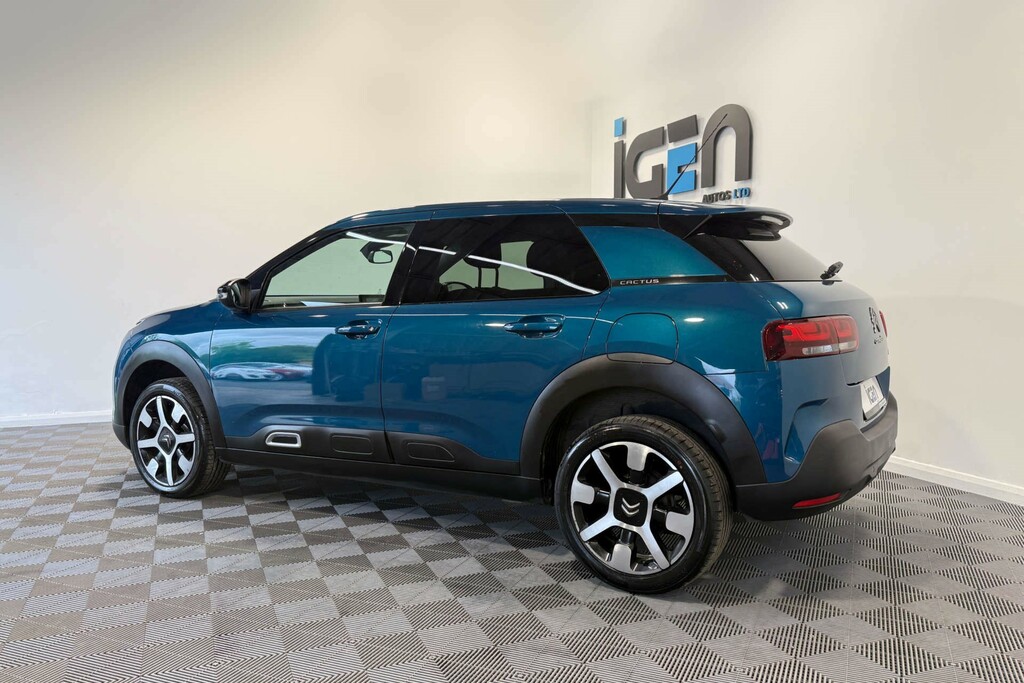 Citroen C4 Cactus Flair Blue Hdi Ss  #5