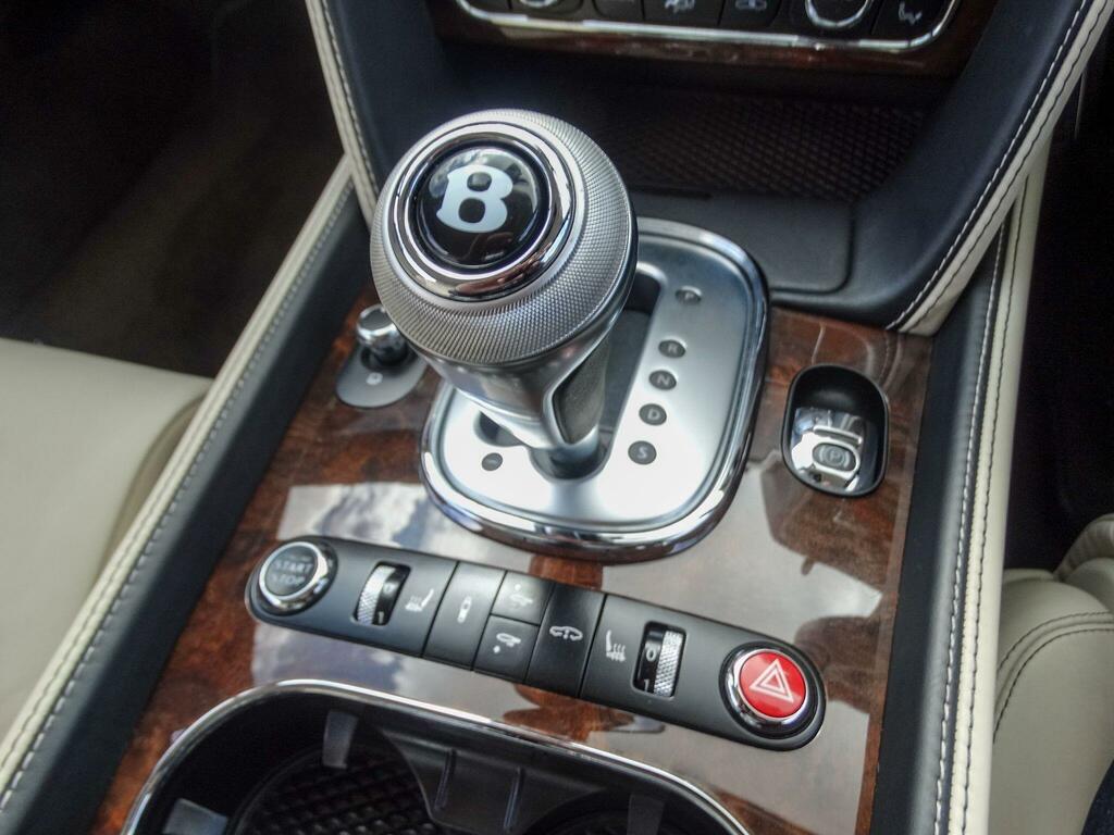 Bentley Continental Petrol #25