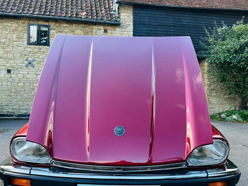 Jaguar XJS  Blue #53