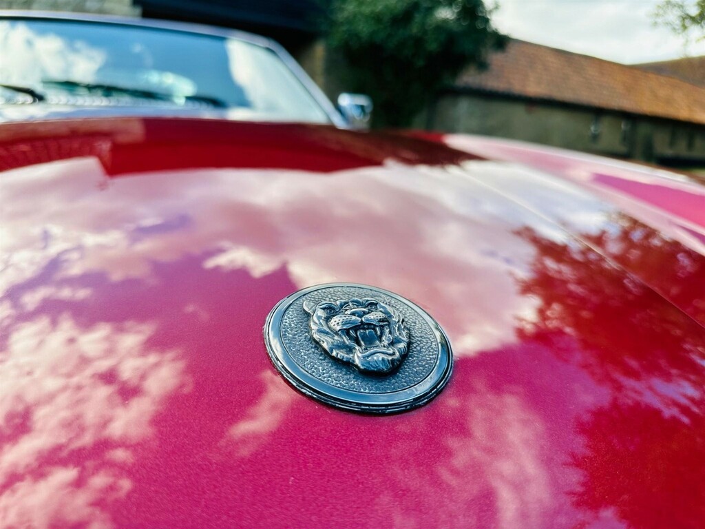 Jaguar XJS  Blue #26