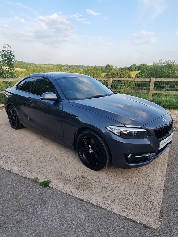 BMW 2 Series 2.0 Sport Euro 6 Ss YC66KFY Grey #2