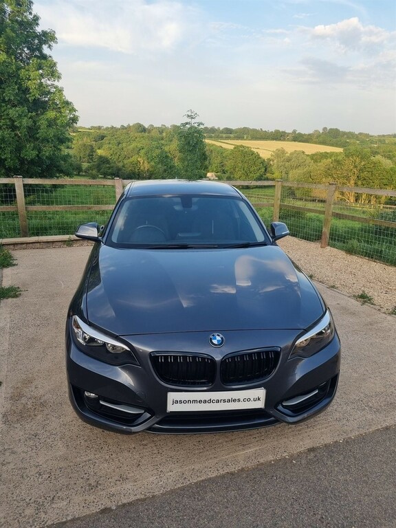 BMW 2 Series 2.0 Sport Euro 6 Ss YC66KFY Grey #3