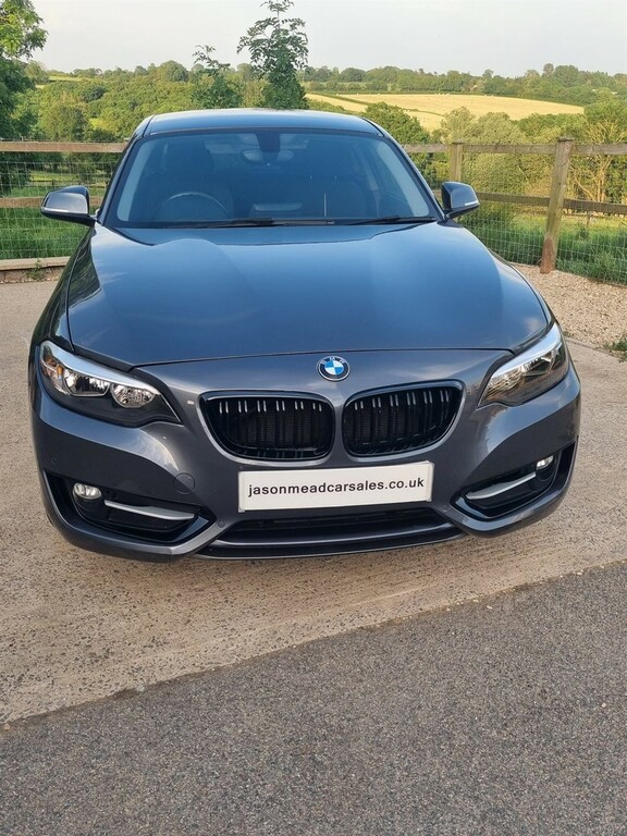 BMW 2 Series 2.0 Sport Euro 6 Ss YC66KFY Grey #5
