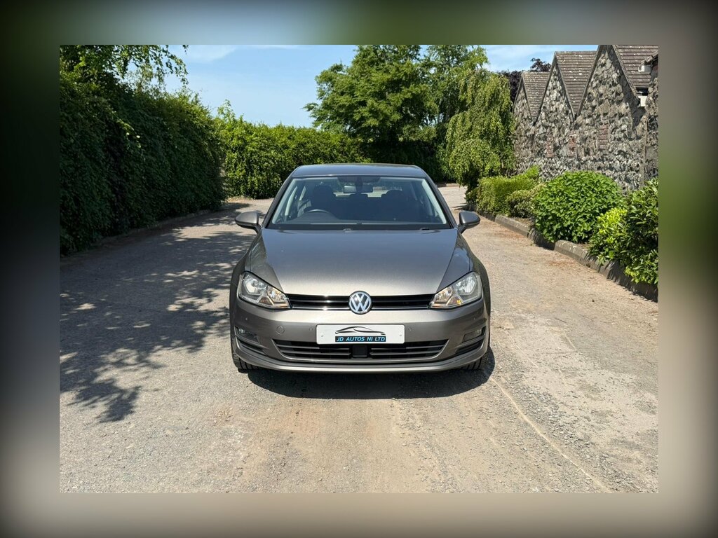 Volkswagen Golf 1.6 Tdi Bluemotion Tech Match Euro 6 Ss Grey