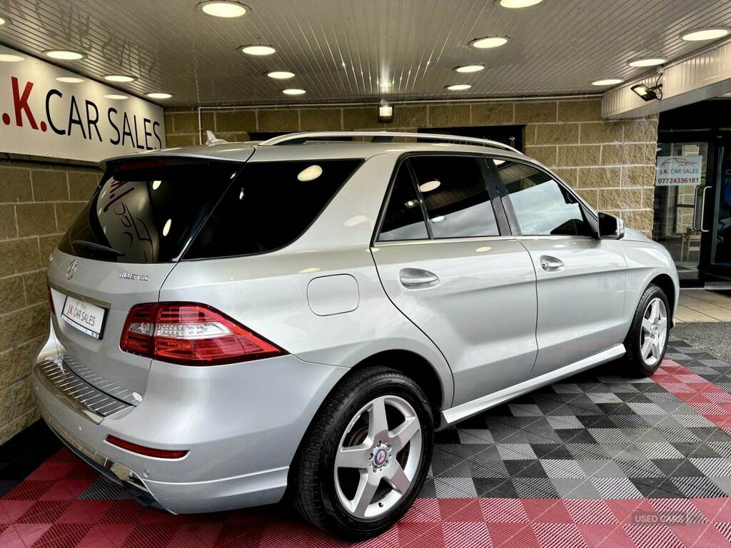 Mercedes-Benz M Class Ml250 Cdi Bluetec Sport Silver