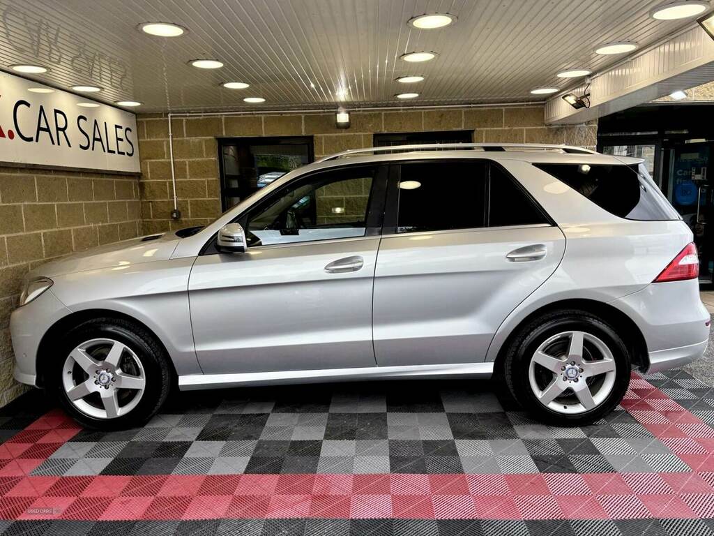 Mercedes-Benz M Class Ml250 Cdi Bluetec Sport Silver #5