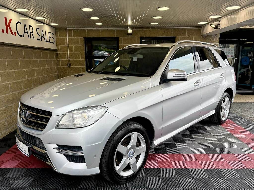 Mercedes-Benz M Class Ml250 Cdi Bluetec Sport Silver #3