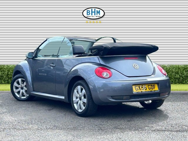 Volkswagen Beetle  Blue #10