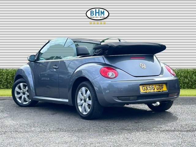 Volkswagen Beetle  Blue #16