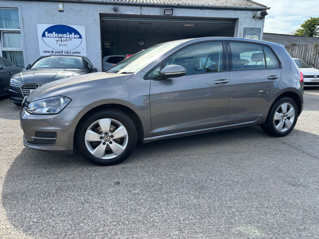 Volkswagen Golf 1.6 Tdi 110 S Grey