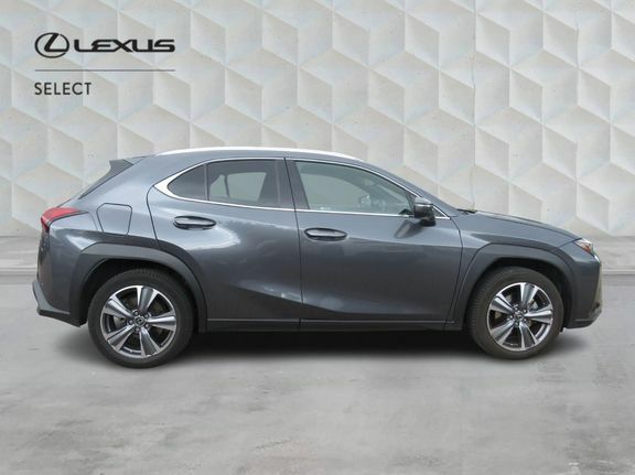 Lexus UX Ux 300E Premium Plus Pack 18 Grey #2