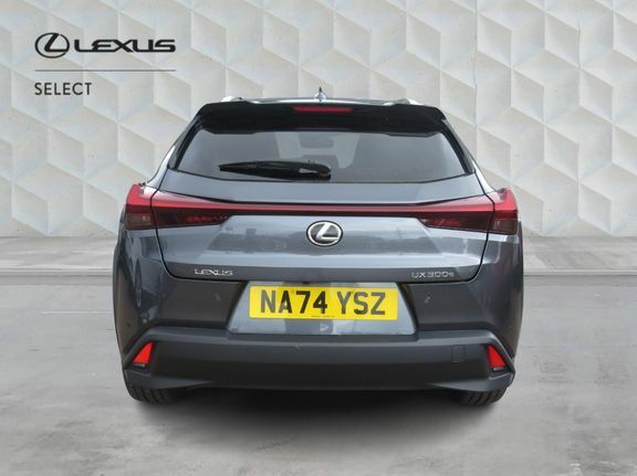 Lexus UX Ux 300E Premium Plus Pack 18 Grey #4