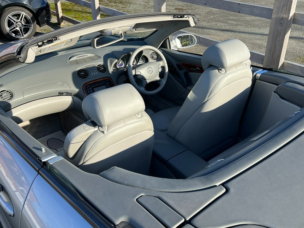 Mercedes-Benz S Class 3.2 Cdi Silver #27
