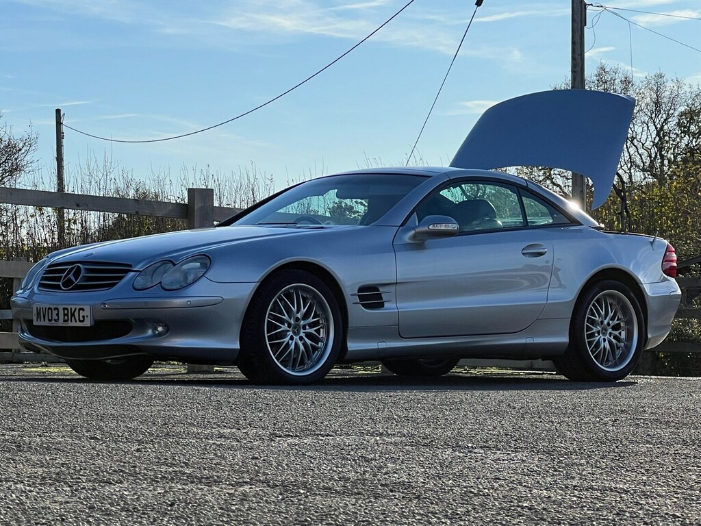 Mercedes-Benz S Class 3.2 Cdi Silver #24
