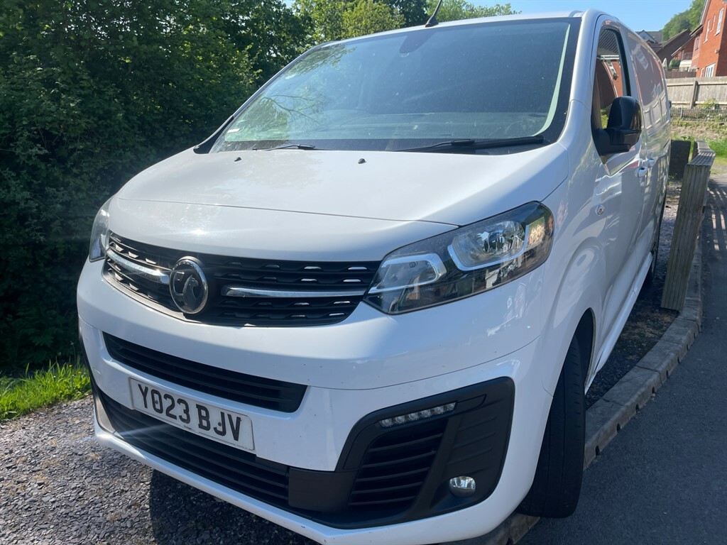 Vauxhall Vivaro L2h1 F3100 Professional White