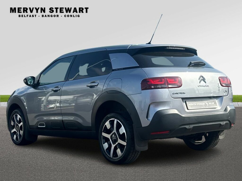 Citroen C4 Cactus Cactus Flair Bluehdi Ss XUI4304 Grey #2