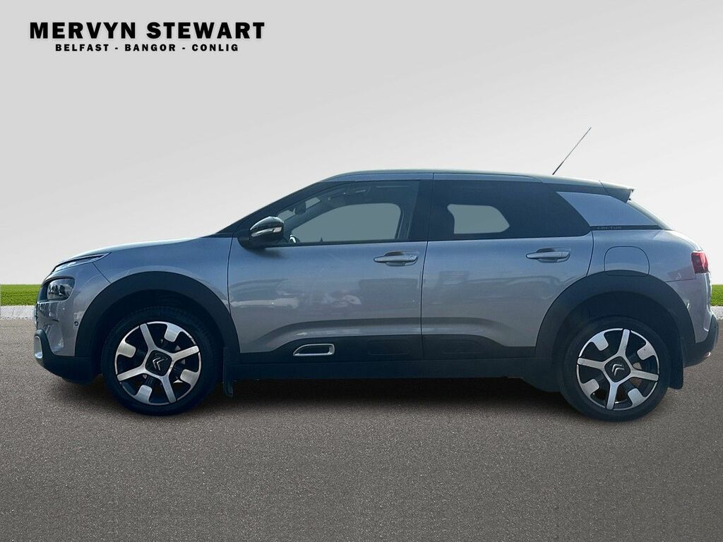 Citroen C4 Cactus Cactus Flair Bluehdi Ss XUI4304 Grey #4
