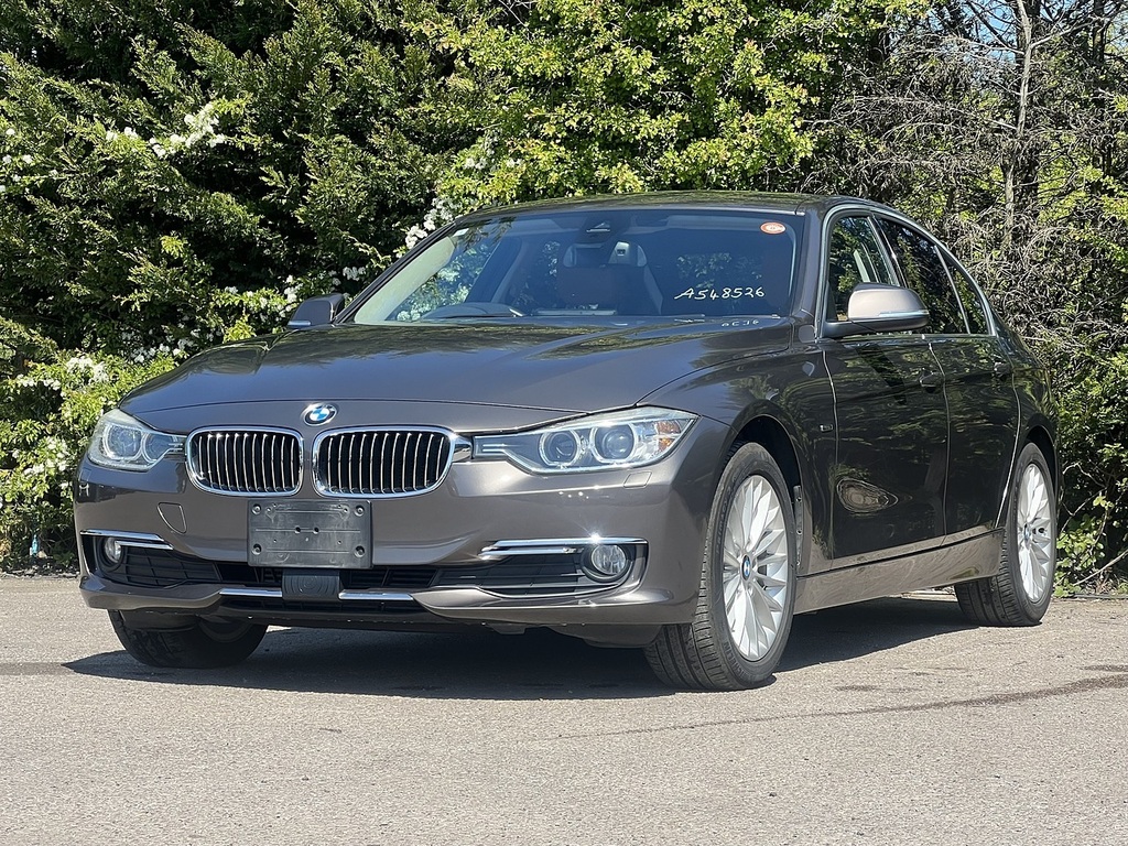 BMW 3 Series 320D Luxury #3