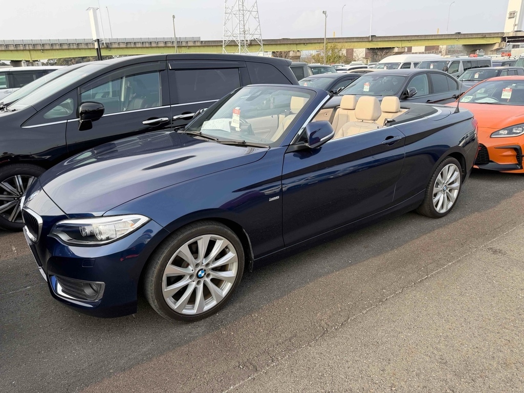 BMW 2 Series 220I Luxury #3