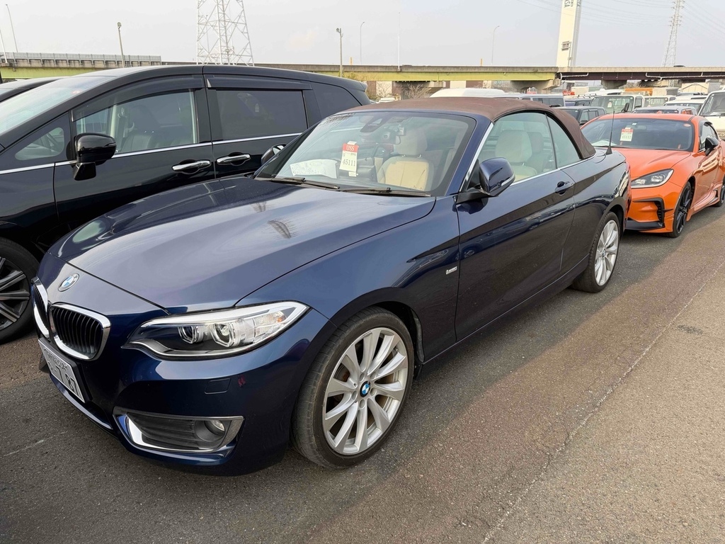 BMW 2 Series 220I Luxury #4