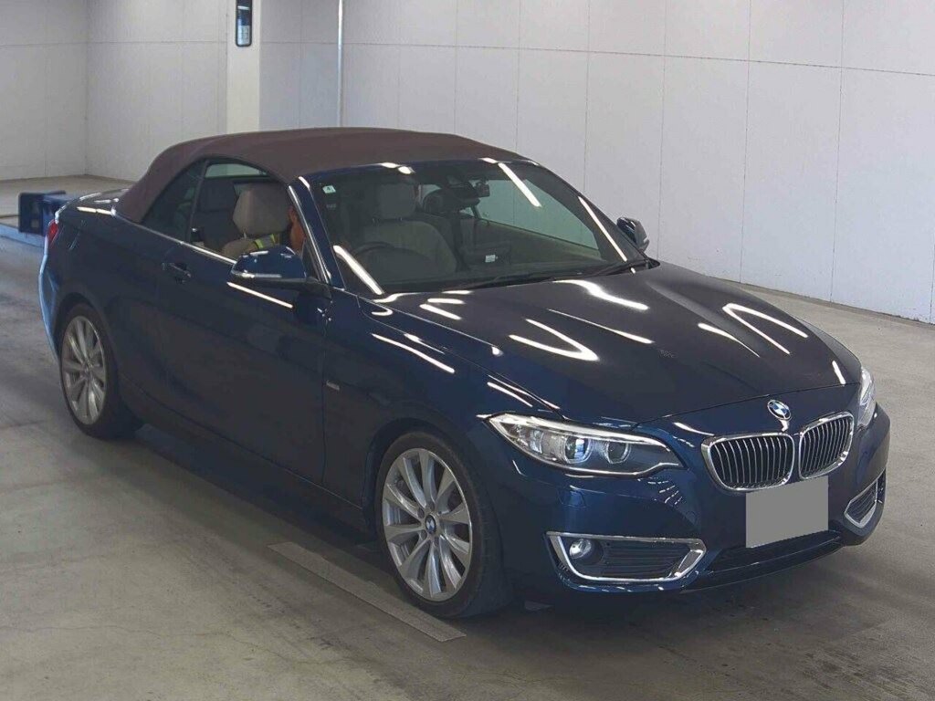 BMW 2 Series 220I Luxury 
