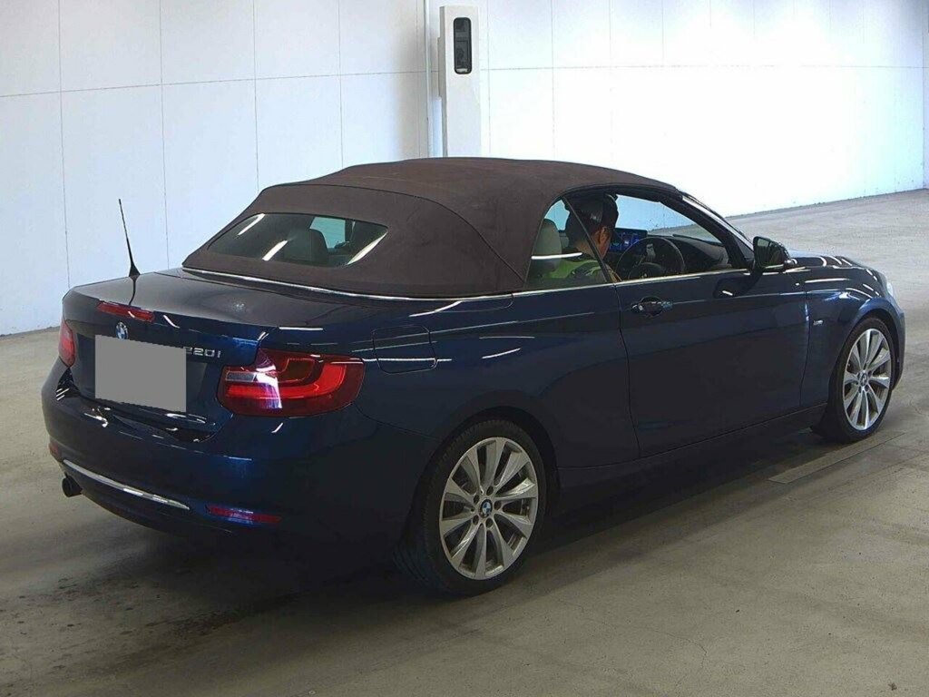 BMW 2 Series 220I Luxury #5