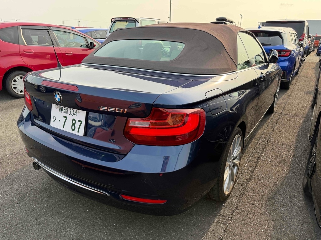 BMW 2 Series 220I Luxury #6