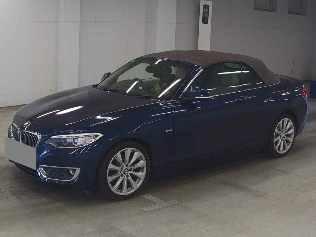 BMW 2 Series 220I Luxury #2