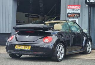 Volkswagen Beetle Sola  #6