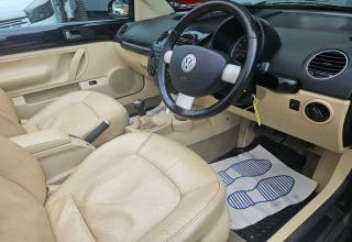Volkswagen Beetle Sola  #15
