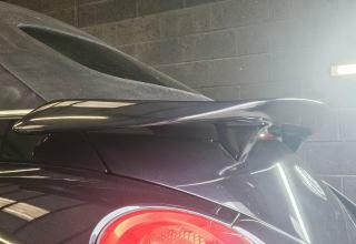 Volkswagen Beetle Sola  #25