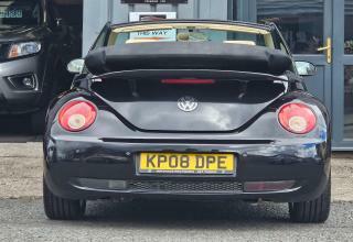 Volkswagen Beetle Sola  #4