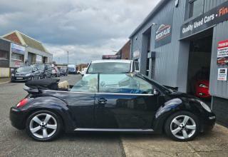 Volkswagen Beetle Sola  #7