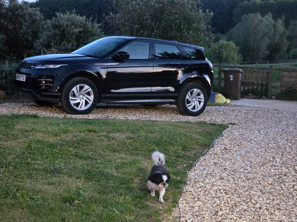 Land Rover Range Rover Evoque 1.5 P300e 12.2Kwh R-dynamic S Suv Plug- Black