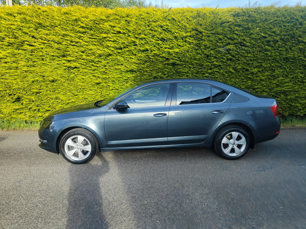 Skoda Octavia Se Technology Tdi GL19UFN #5
