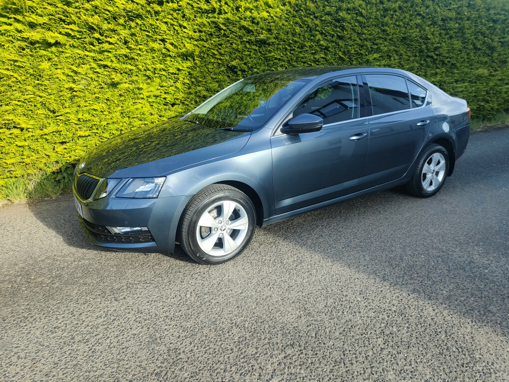 Skoda Octavia Se Technology Tdi GL19UFN #6