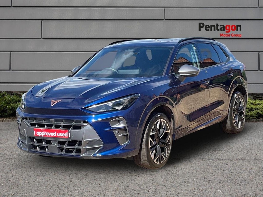 Cupra Terramar 2.0 Tsi Vz2 Suv Dsg 4Drive Euro 6 Ss DA25LLW Blue #3