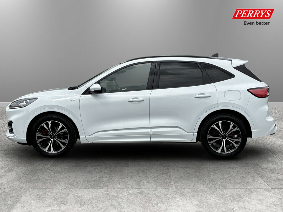 Ford Kuga 1.5 Ecoblue St-line X Edition YP71EDK White #4