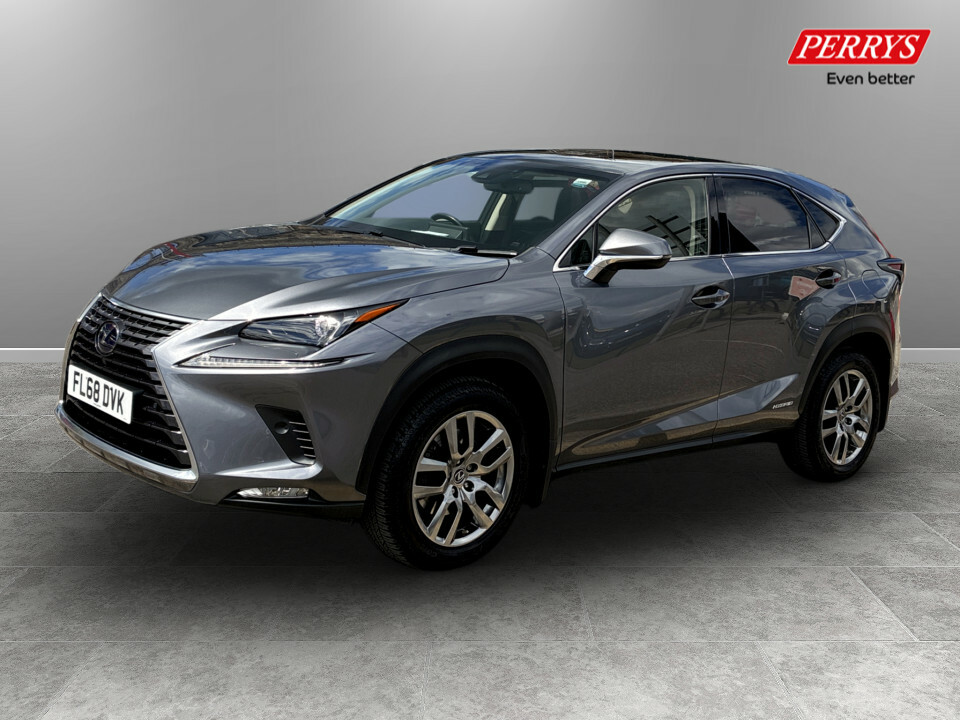 Lexus NX 300H 2.5 Luxury Cvt Premium Nav Grey #3