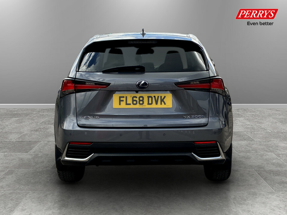 Lexus NX 300H 2.5 Luxury Cvt Premium Nav Grey #6