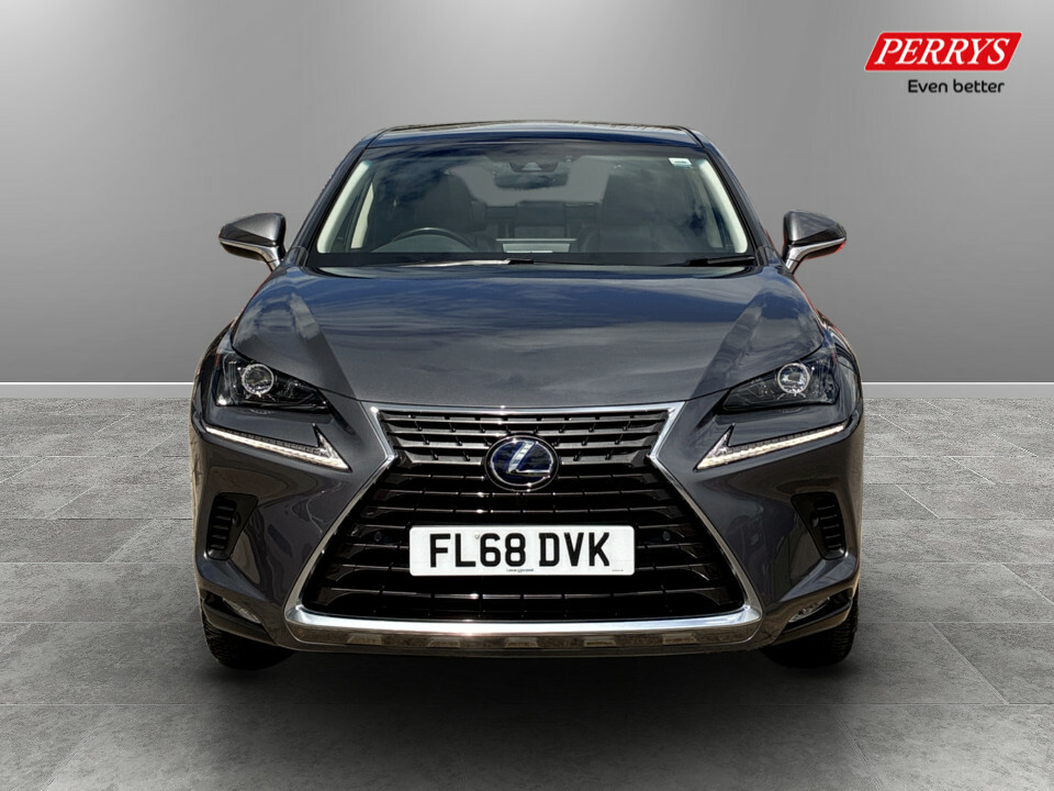 Lexus NX 300H 2.5 Luxury Cvt Premium Nav Grey #2