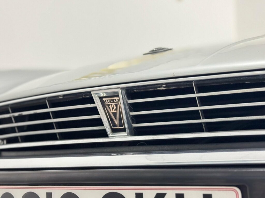 Jaguar XJS Petrol Beige #31