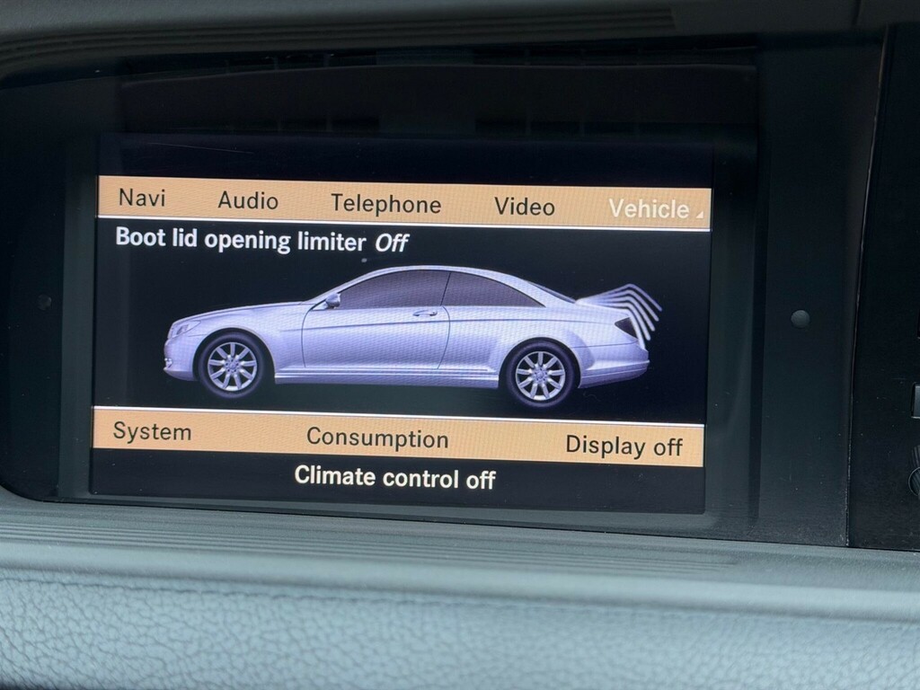 Mercedes-Benz CL Cl500 Blueefficiency Black #33