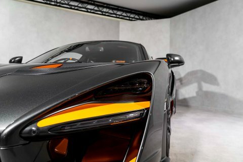 McLaren Senna 4L Null Grey #25