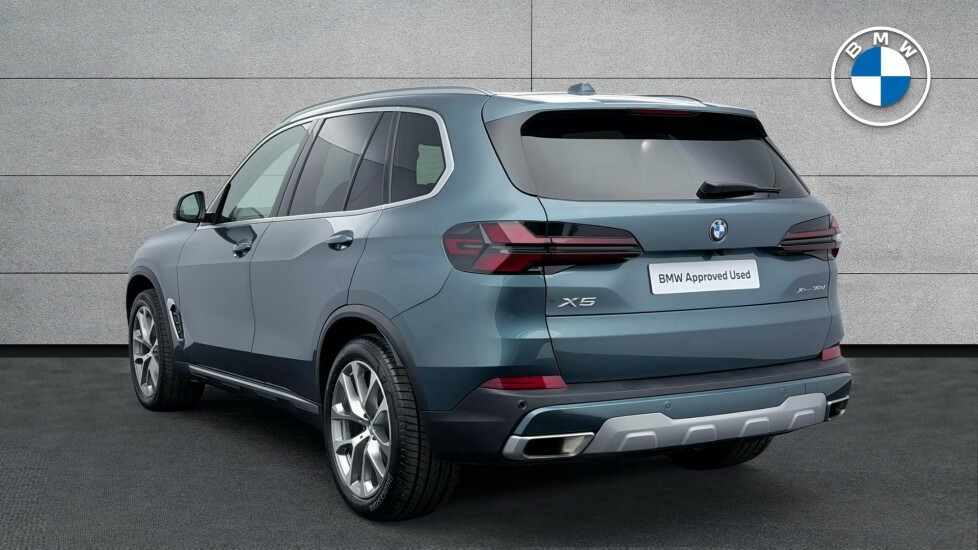 BMW X5 X5 Xdrive30d Xline YH75BYW Blue #2