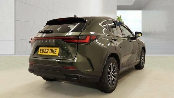 Lexus NX 2.5 350H Suv Hybrid E-cvt 4Wd Euro 6 S EO22OME Green #6