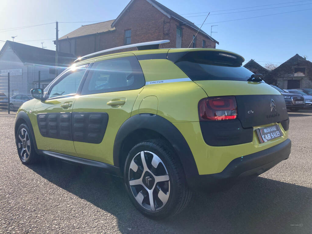 Citroen C4 Cactus C4 Cactus Flair Bluehdi Silver #6