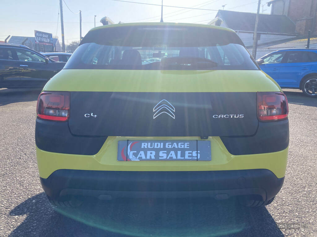 Citroen C4 Cactus C4 Cactus Flair Bluehdi Silver #5